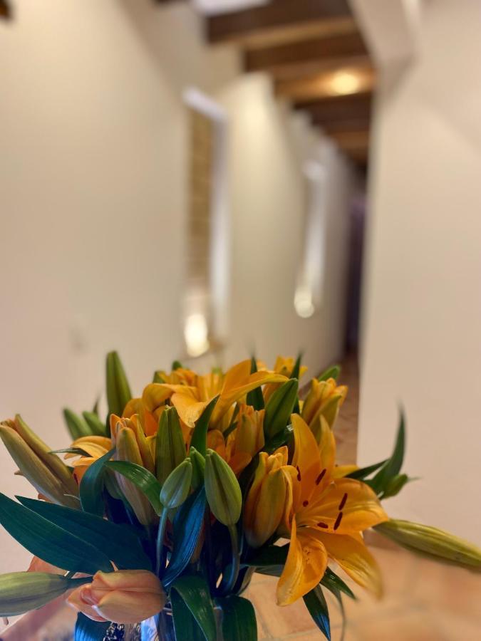 Hotel Alandalus Villa de Leyva Dış mekan fotoğraf